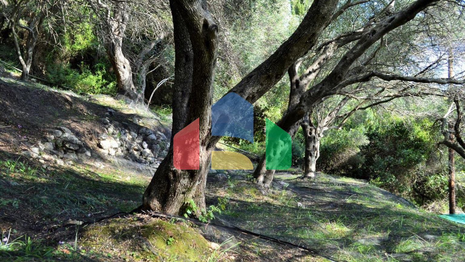 Продаж - Земельна ділянка 14530 m² на о. Корфу