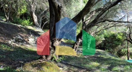 Продаж - Земельна ділянка 14530 m² на о. Корфу