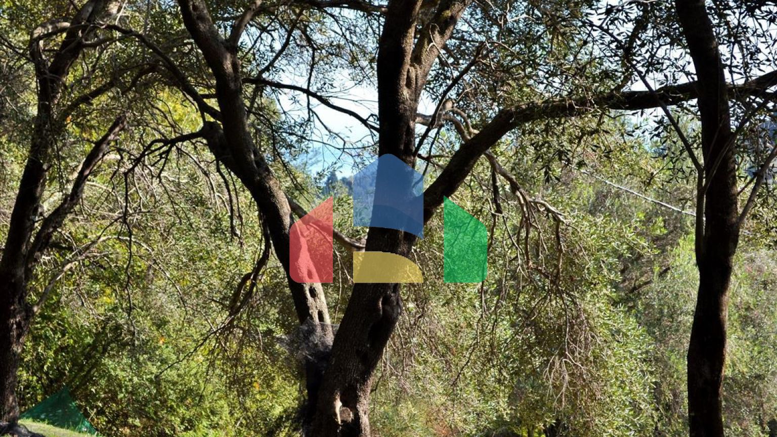 Продаж - Земельна ділянка 14530 m² на о. Корфу