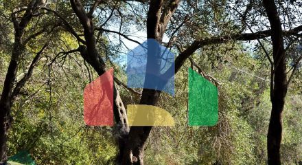 Продаж - Земельна ділянка 14530 m² на о. Корфу