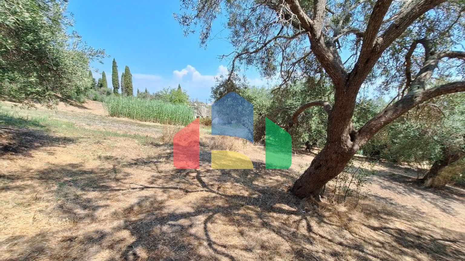 Продажа - Земельный участок 12000 m² на о. Корфу