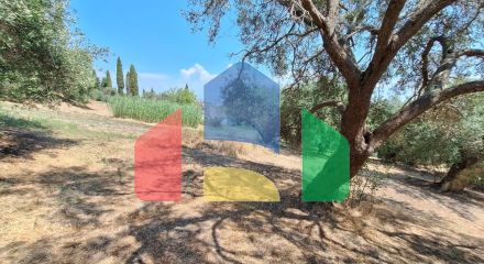 Продажа - Земельный участок 12000 m² на о. Корфу