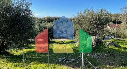 For Sale - Land 4500 m² in Corfu