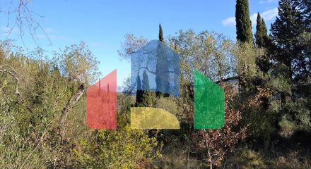 Продаж - Земельна ділянка 8000 m² на о. Корфу