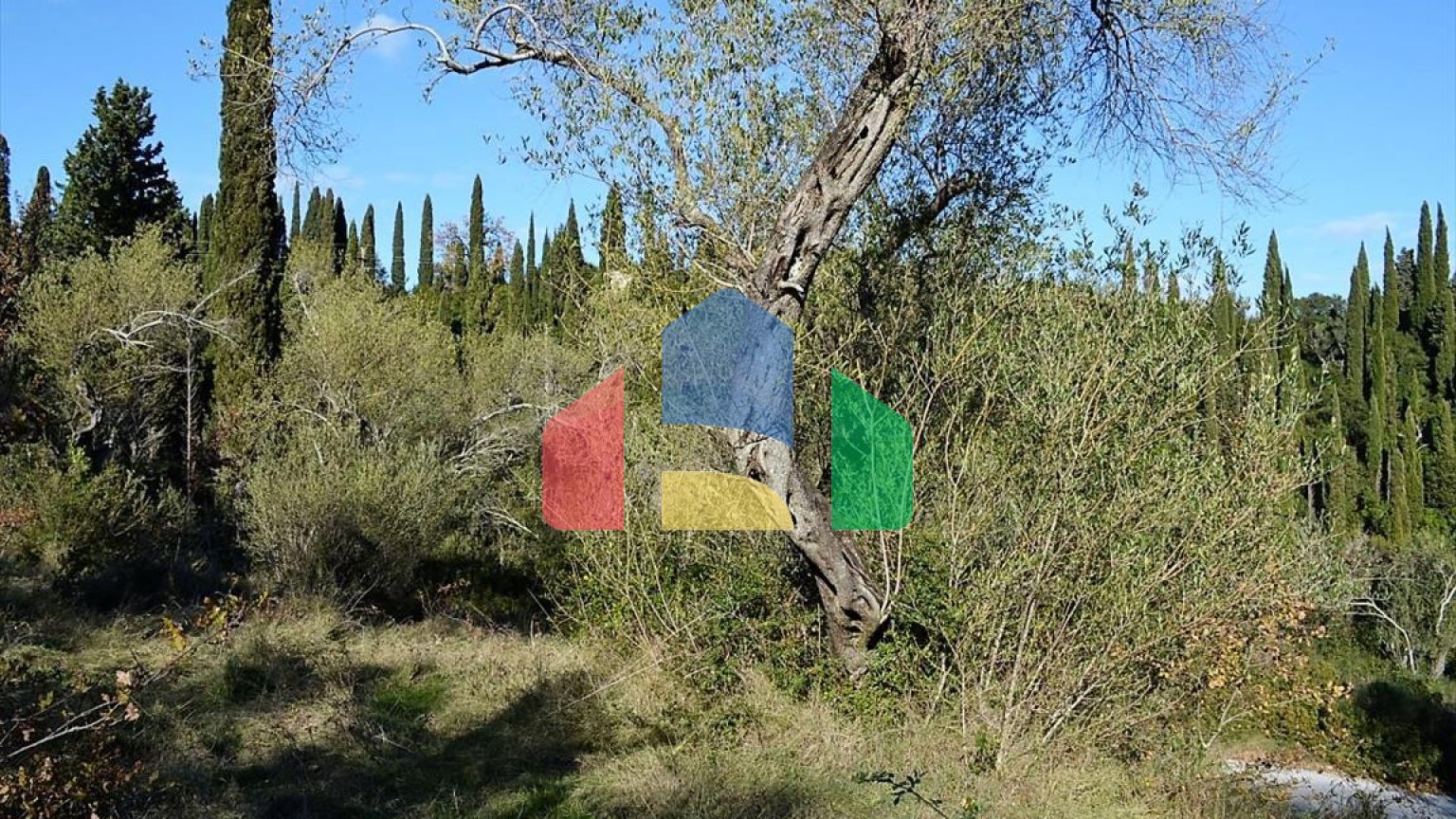 Продаж - Земельна ділянка 8000 m² на о. Корфу