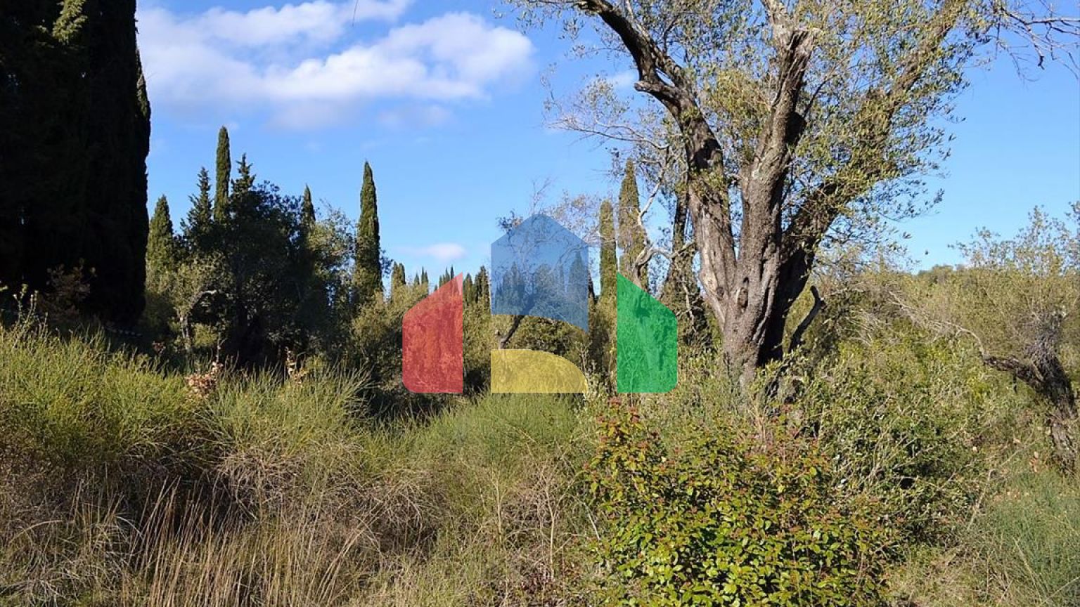 Продаж - Земельна ділянка 8000 m² на о. Корфу