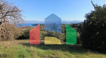For Sale - Land 12500 m² in Corfu