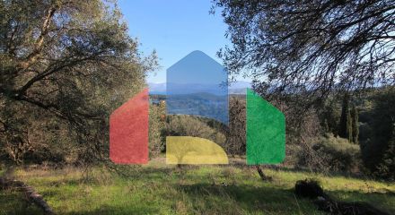 For Sale - Land 12500 m² in Corfu