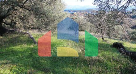 For Sale - Land 12500 m² in Corfu