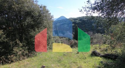 For Sale - Land 12500 m² in Corfu