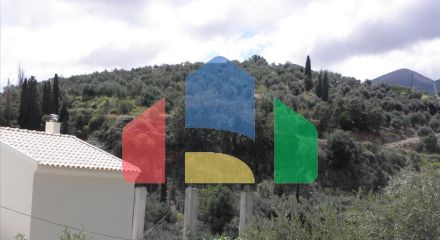 Продаж - Земельна ділянка 15000 m² на о. Корфу