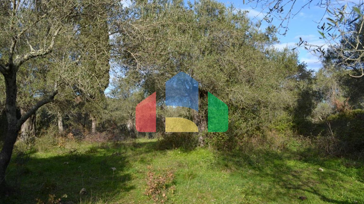 Продаж - Земельна ділянка 20000 m² на о. Корфу