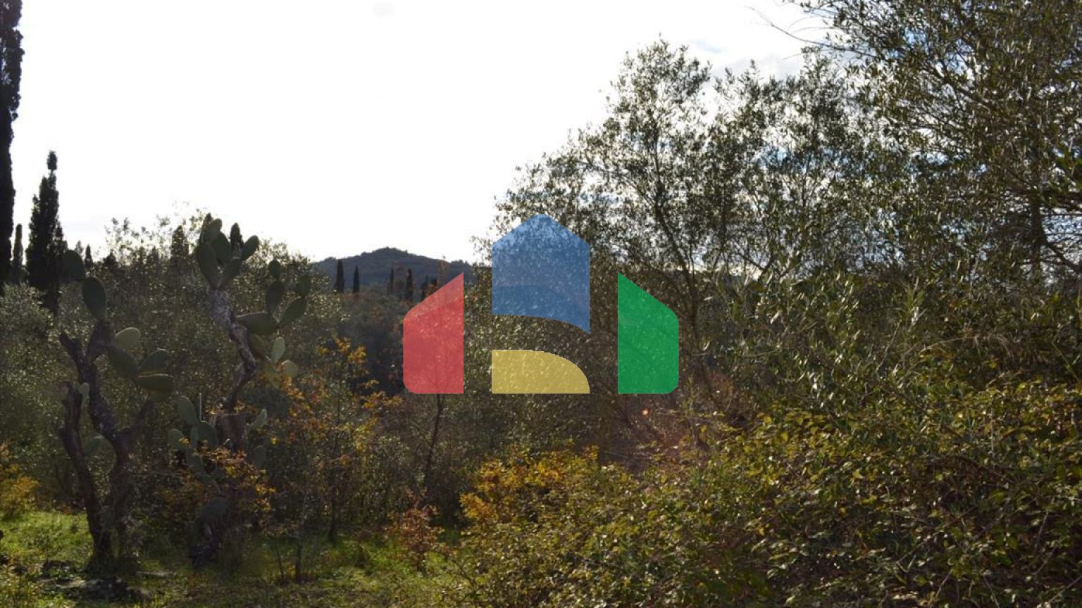 Продаж - Земельна ділянка 20000 m² на о. Корфу