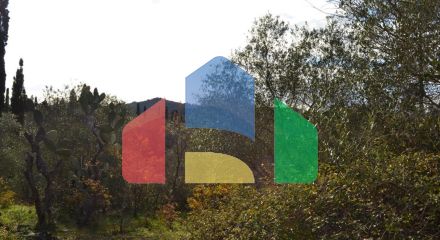 Продаж - Земельна ділянка 20000 m² на о. Корфу