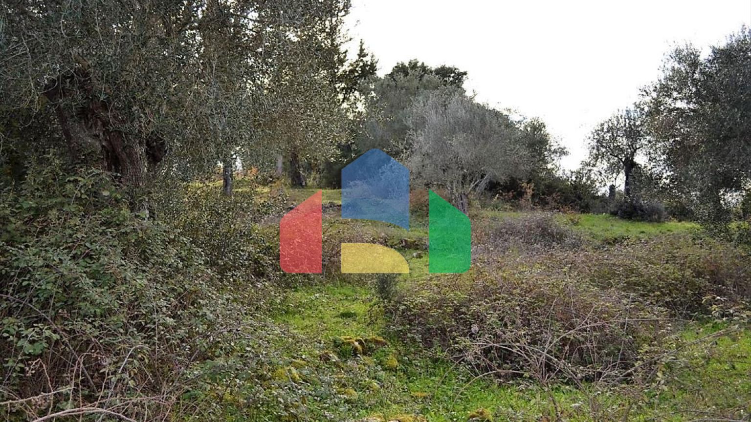 Продаж - Земельна ділянка 20000 m² на о. Корфу