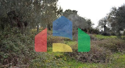 Продаж - Земельна ділянка 20000 m² на о. Корфу