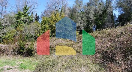 For Sale - Land 7000 m² in Corfu