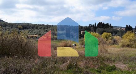 For Sale - Land 7000 m² in Corfu