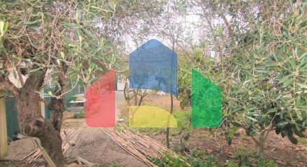 Продажа - Коттедж 236 m² на о. Корфу