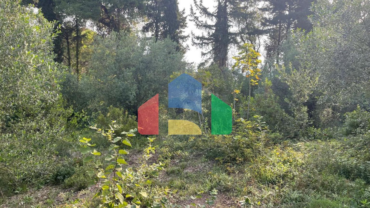 Продаж - Земельна ділянка 3321 m² на о. Корфу