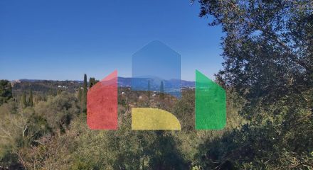 For Sale - Land 7000 m² in Corfu