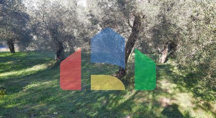 For Sale - Land 7000 m² in Corfu