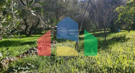 For Sale - Land 7000 m² in Corfu