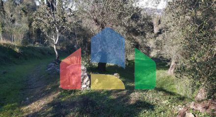 For Sale - Land 7000 m² in Corfu