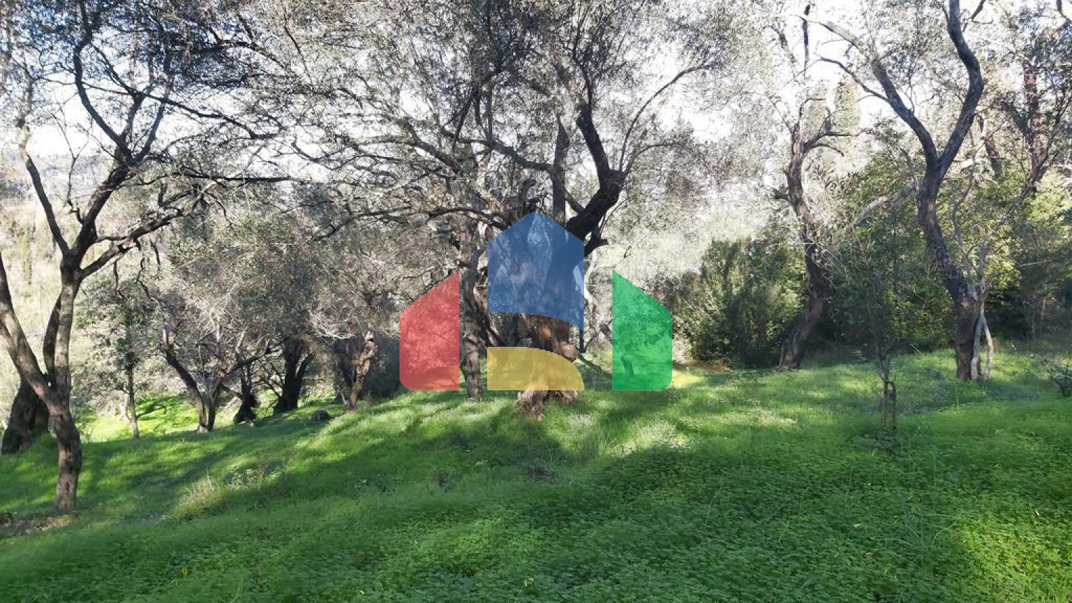 Продаж - Земельна ділянка 7000 m² на о. Корфу