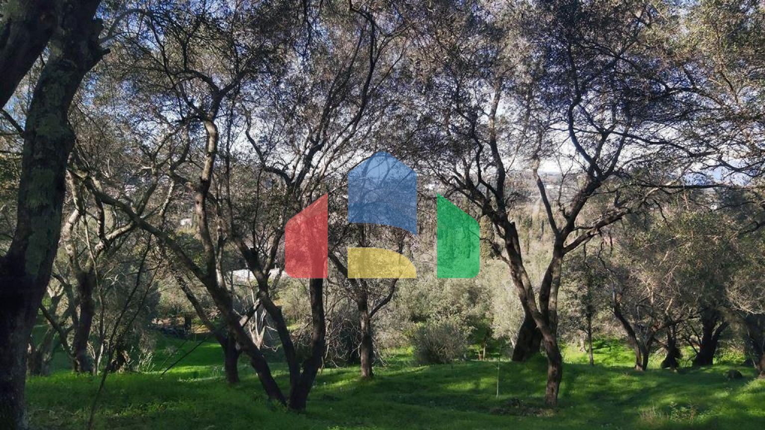 Продаж - Земельна ділянка 7000 m² на о. Корфу