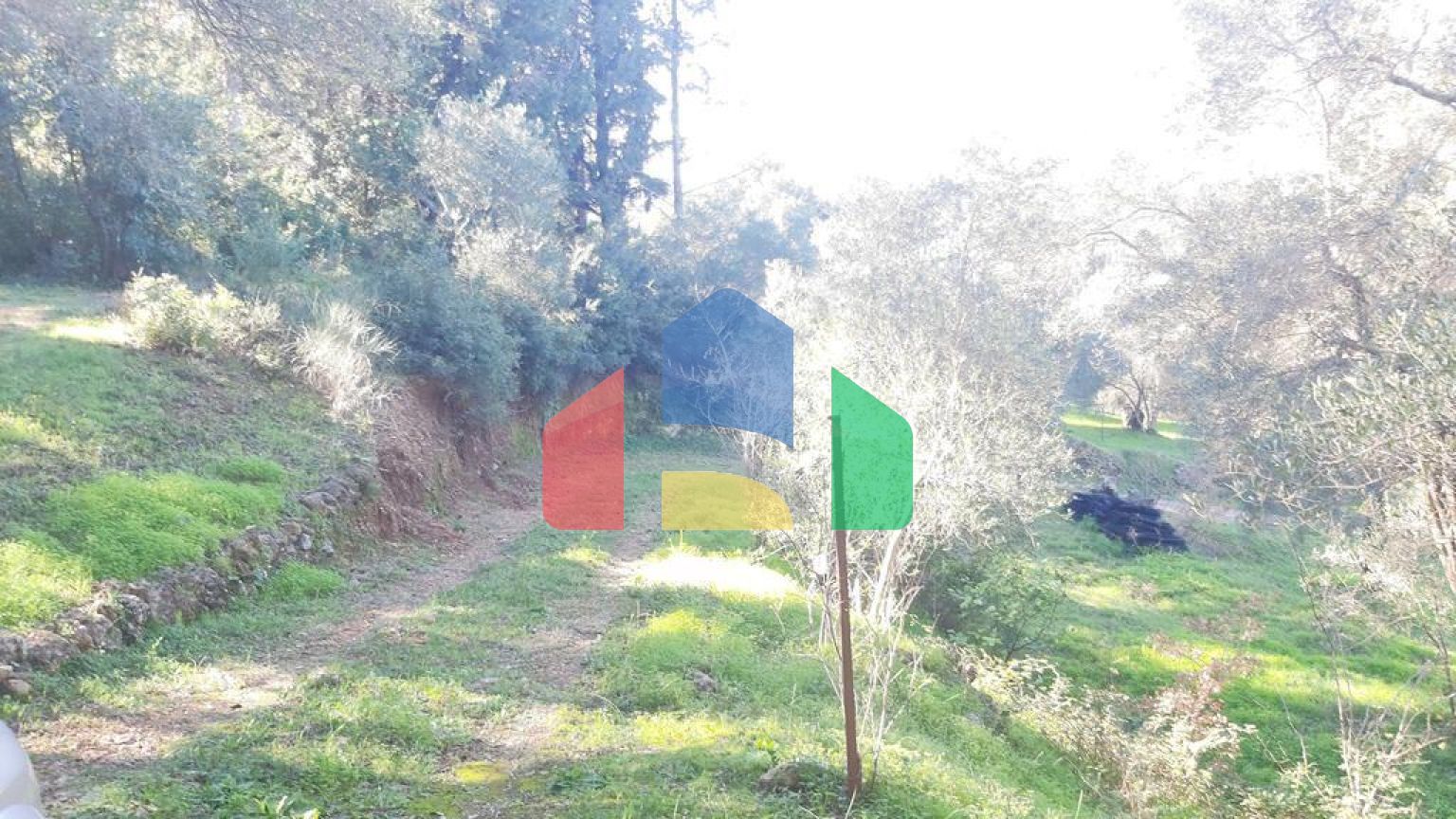 Продаж - Земельна ділянка 7000 m² на о. Корфу