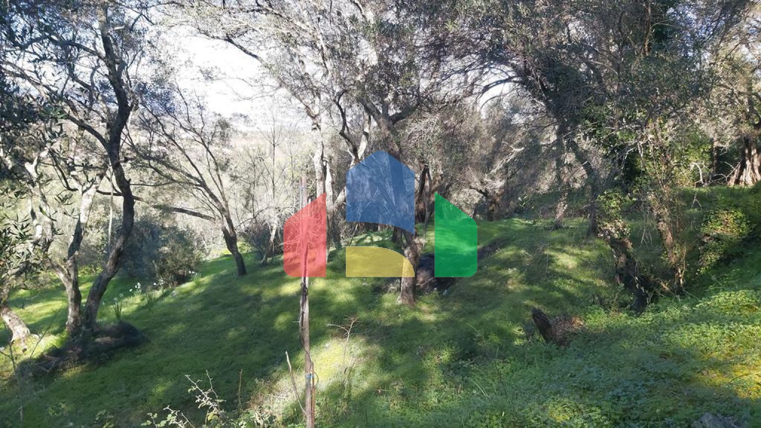 Продаж - Земельна ділянка 7000 m² на о. Корфу