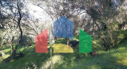 Продаж - Земельна ділянка 7000 m² на о. Корфу