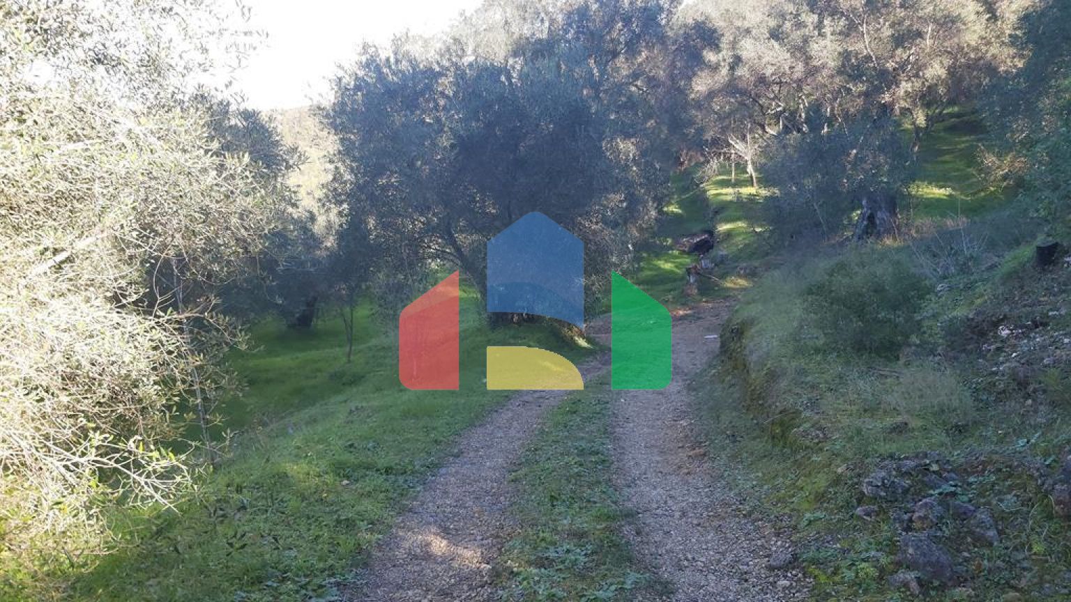 Продаж - Земельна ділянка 7000 m² на о. Корфу