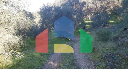 Продаж - Земельна ділянка 7000 m² на о. Корфу