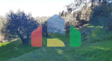 Продаж - Земельна ділянка 7000 m² на о. Корфу