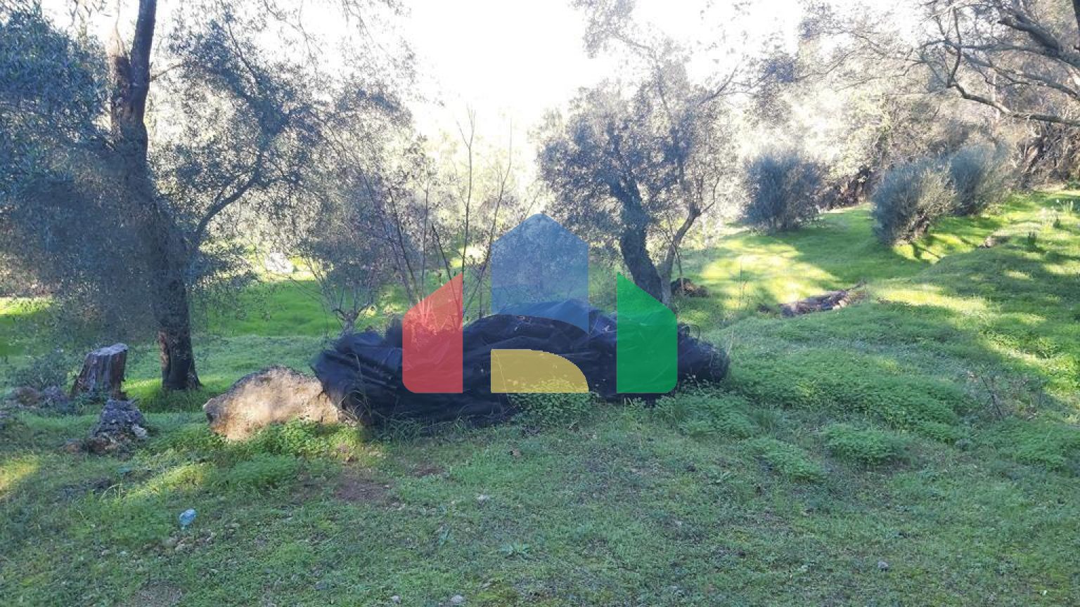 Продаж - Земельна ділянка 7000 m² на о. Корфу