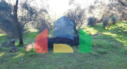 Продаж - Земельна ділянка 7000 m² на о. Корфу