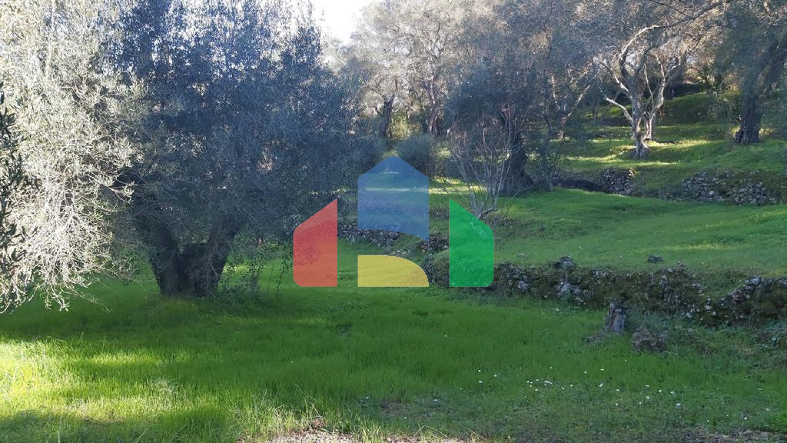 Продаж - Земельна ділянка 7000 m² на о. Корфу