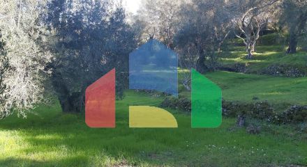 Продаж - Земельна ділянка 7000 m² на о. Корфу