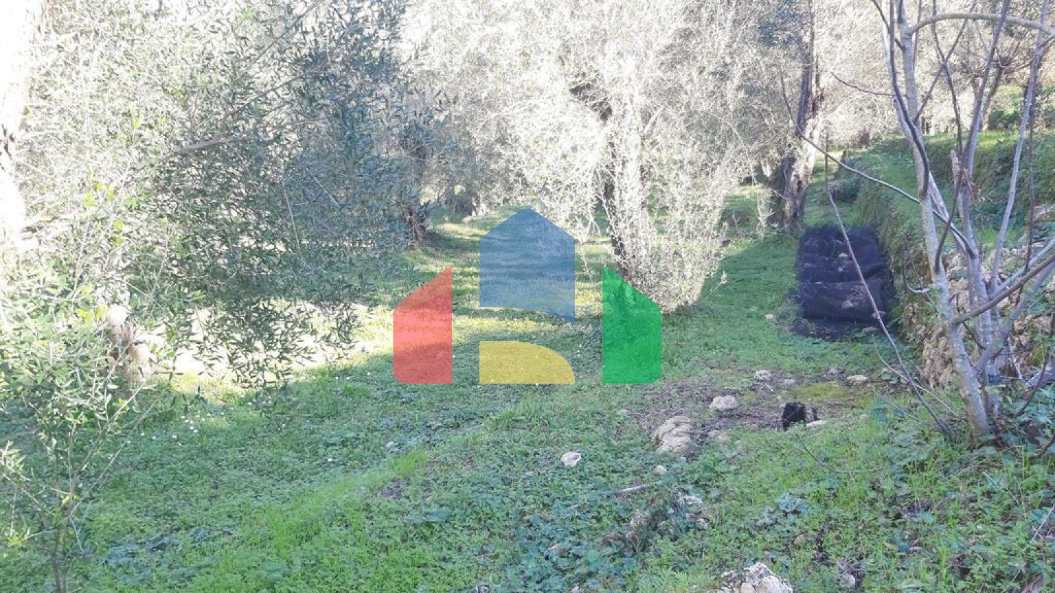 Продаж - Земельна ділянка 7000 m² на о. Корфу