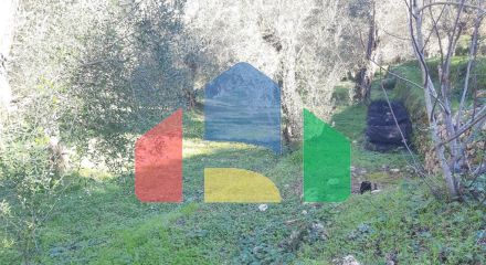 Продаж - Земельна ділянка 7000 m² на о. Корфу