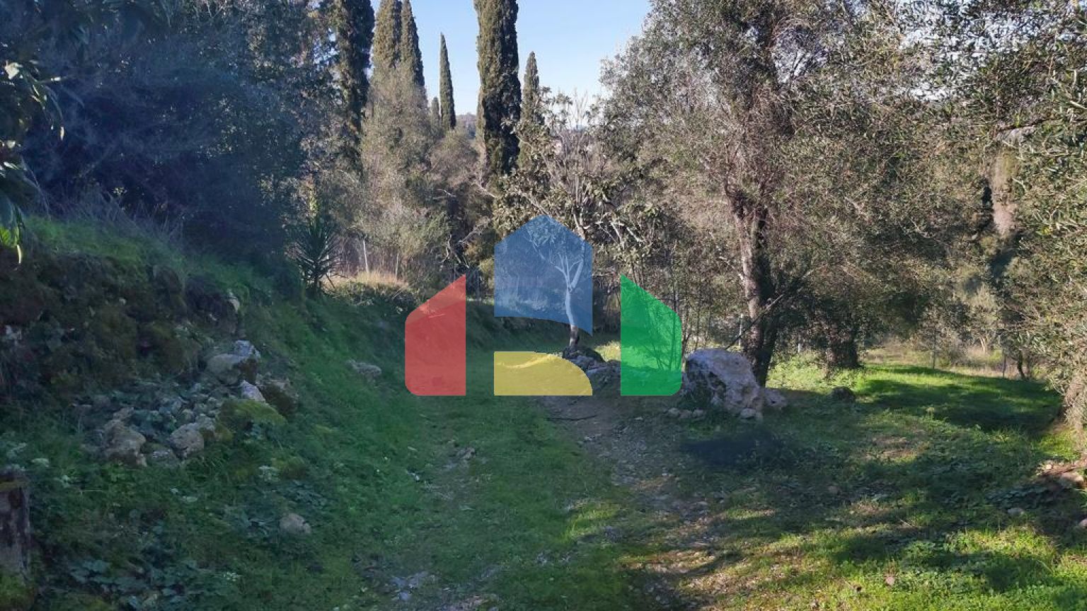 Продаж - Земельна ділянка 7000 m² на о. Корфу