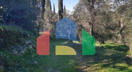 Продаж - Земельна ділянка 7000 m² на о. Корфу