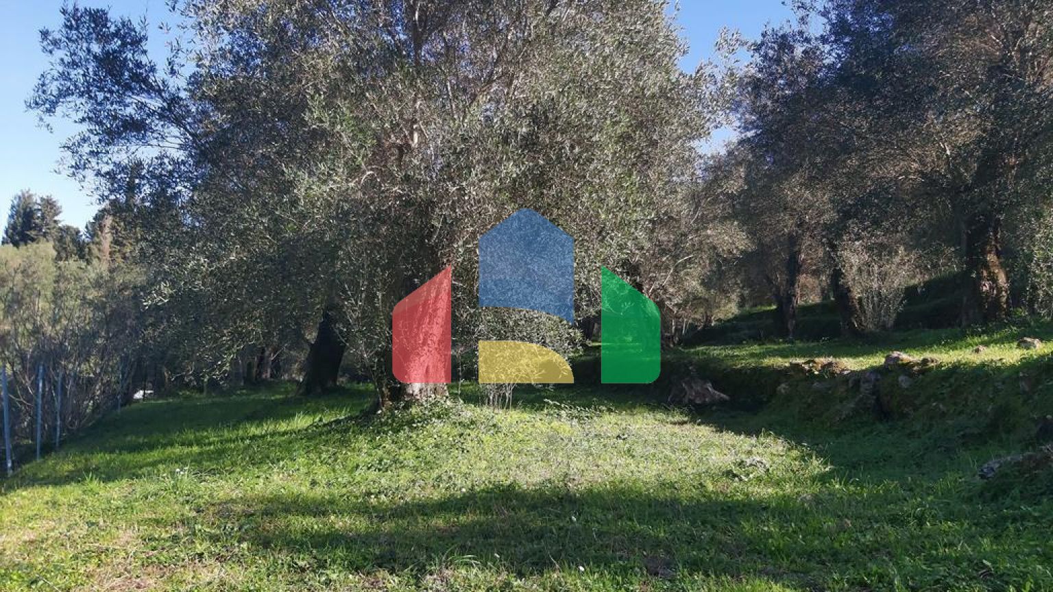 Продаж - Земельна ділянка 7000 m² на о. Корфу