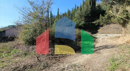 For Sale - Land 2000 m² in Corfu