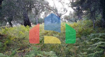 For Sale - Land 2000 m² in Corfu
