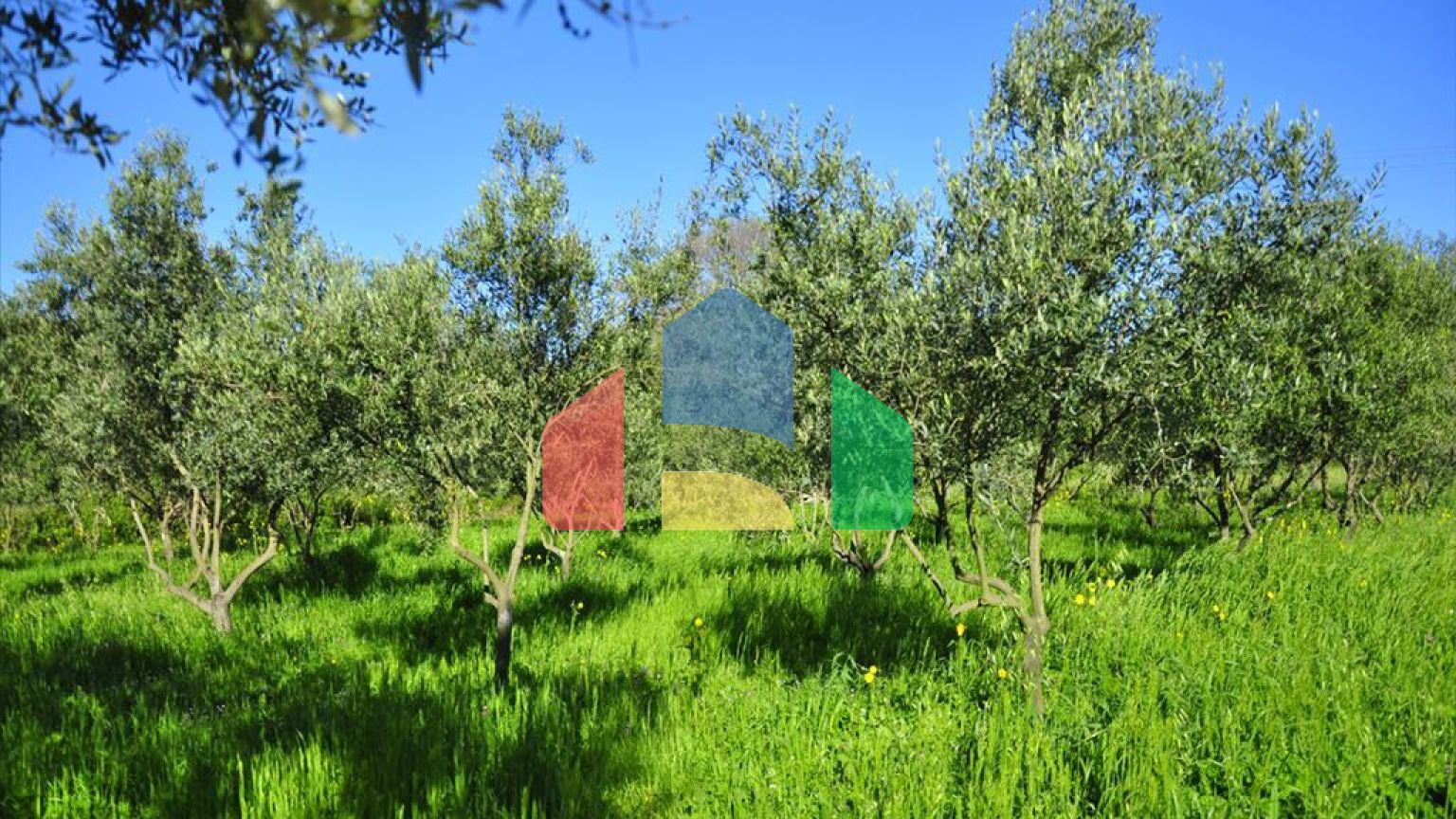 Продаж - Котедж 150 m² на о. Корфу