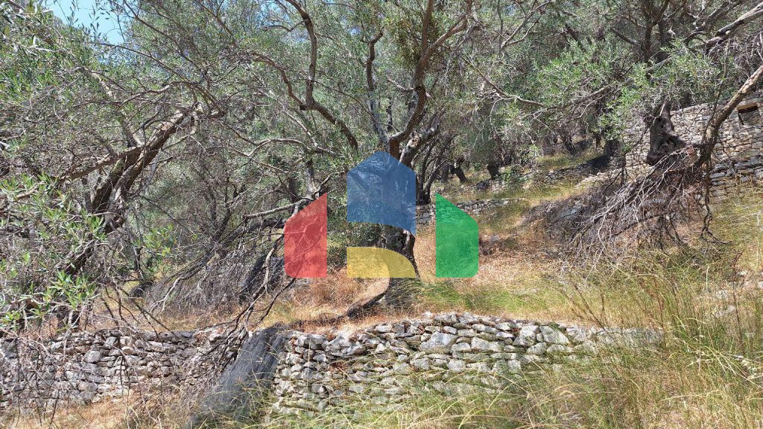 Продажа - Земельный участок 6000 m² на о. Корфу