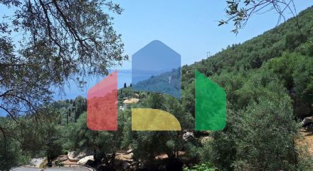 Продажа - Земельный участок 6000 m² на о. Корфу